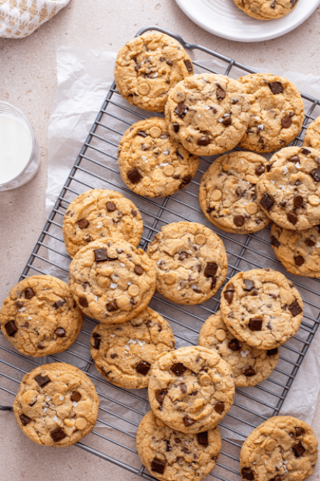 chocolate chip cookie